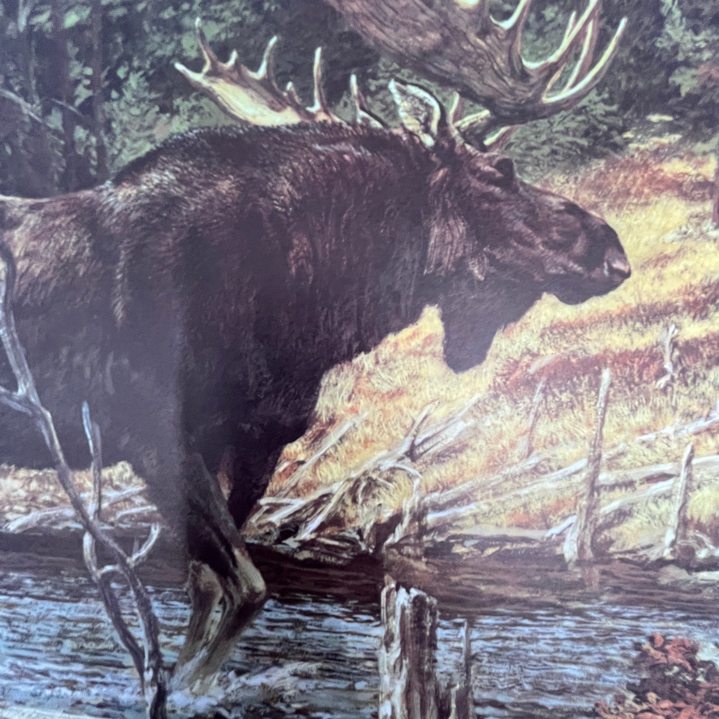 Bull Moose and Back-Packers - Beecham 10x14" Art Print V23