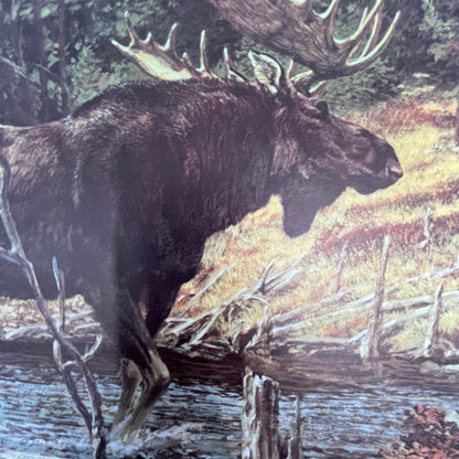 Bull Moose and Back-Packers - Beecham 10x14" Art Print V23