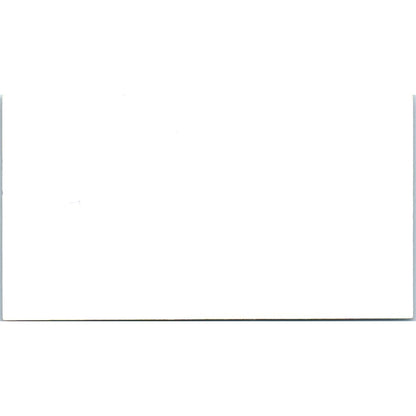 Champion Chemicals & Swimming Pool Supplies Termite Watkins Business Card SD4-B2