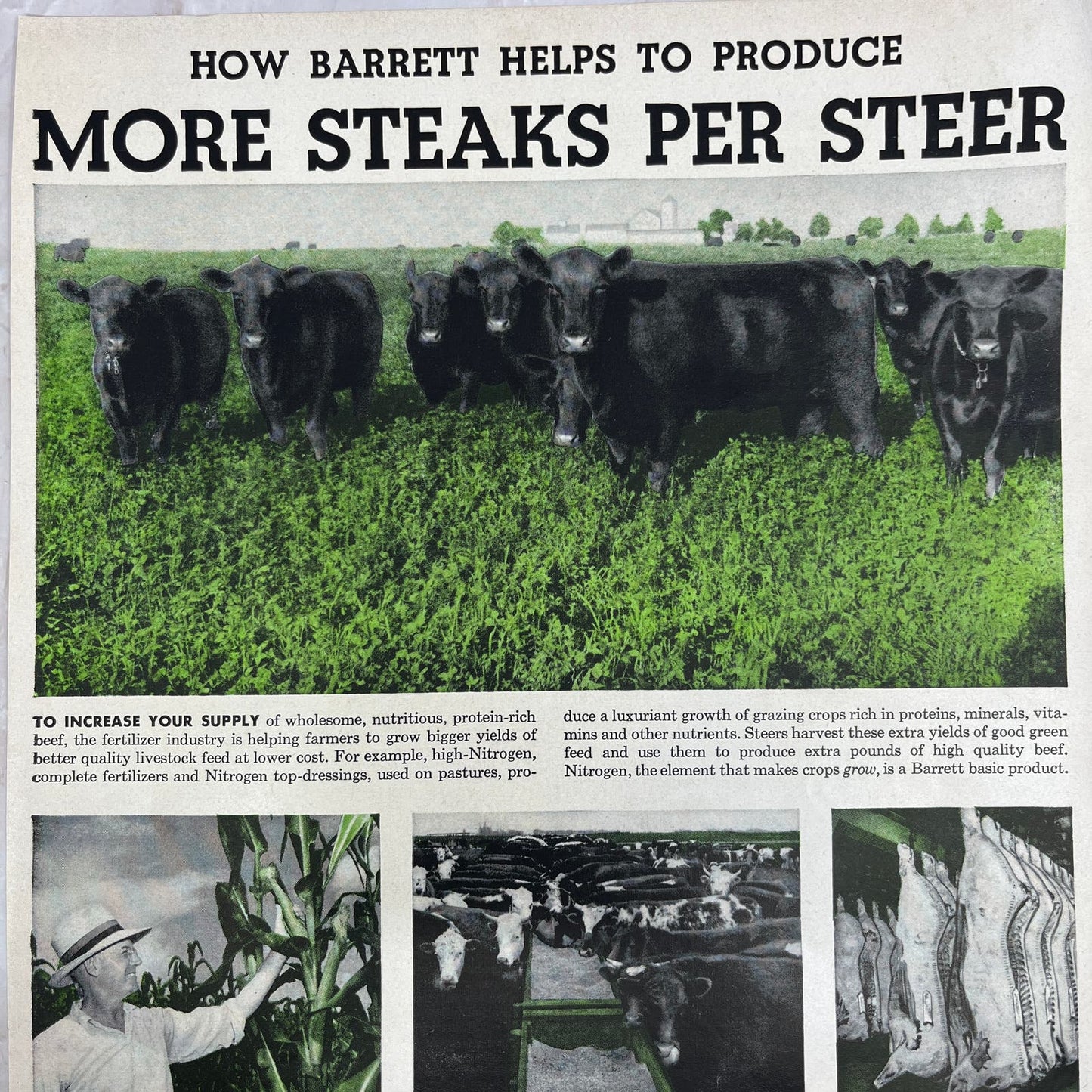 Allied Chemical & Dye Corp Barrett Division NY 1951 Magazine Ad FL6-10