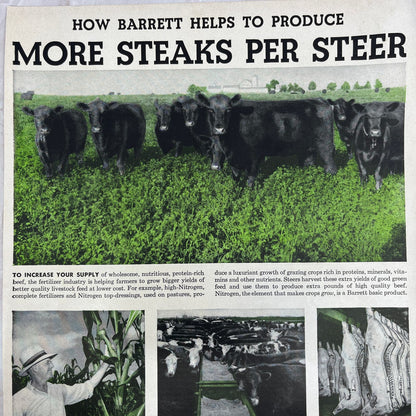 Allied Chemical & Dye Corp Barrett Division NY 1951 Magazine Ad FL6-10