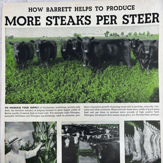 Allied Chemical & Dye Corp Barrett Division NY 1951 Magazine Ad FL6-10