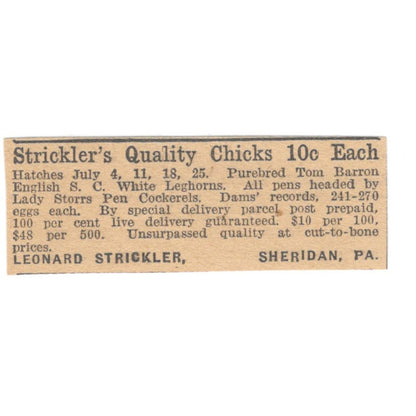 Leonard Strickler Quality Chicks Sheridan PA 1922 Magazine Ad AF2-T5