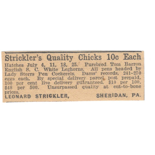 Leonard Strickler Quality Chicks Sheridan PA 1922 Magazine Ad AF2-T5