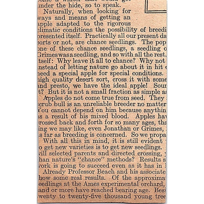 Jiff-On Tire Chains Schartow Mfg Co Milwaukee WI 1920 Ad AG2-M2