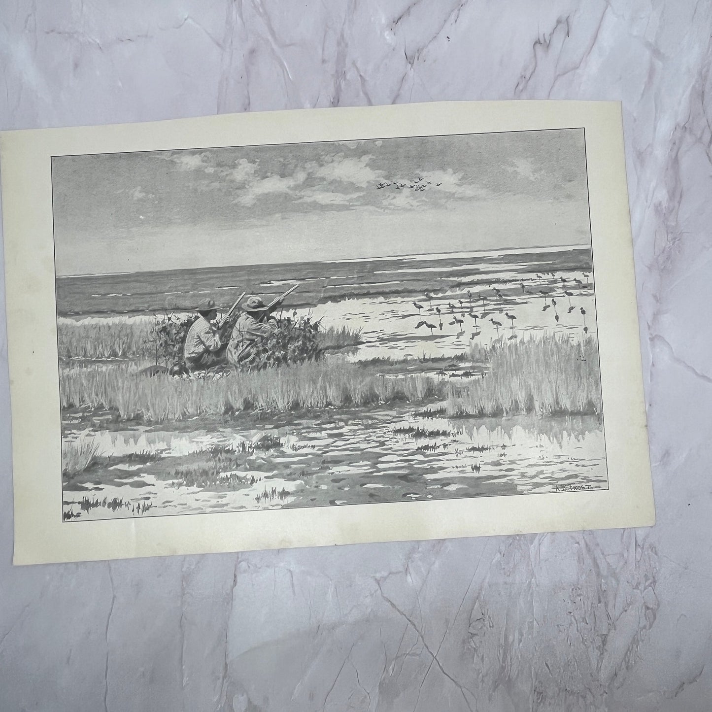 Rail Bird Hunting Bygone Days - Original 1904 A.B. Frost Art Print V14-3