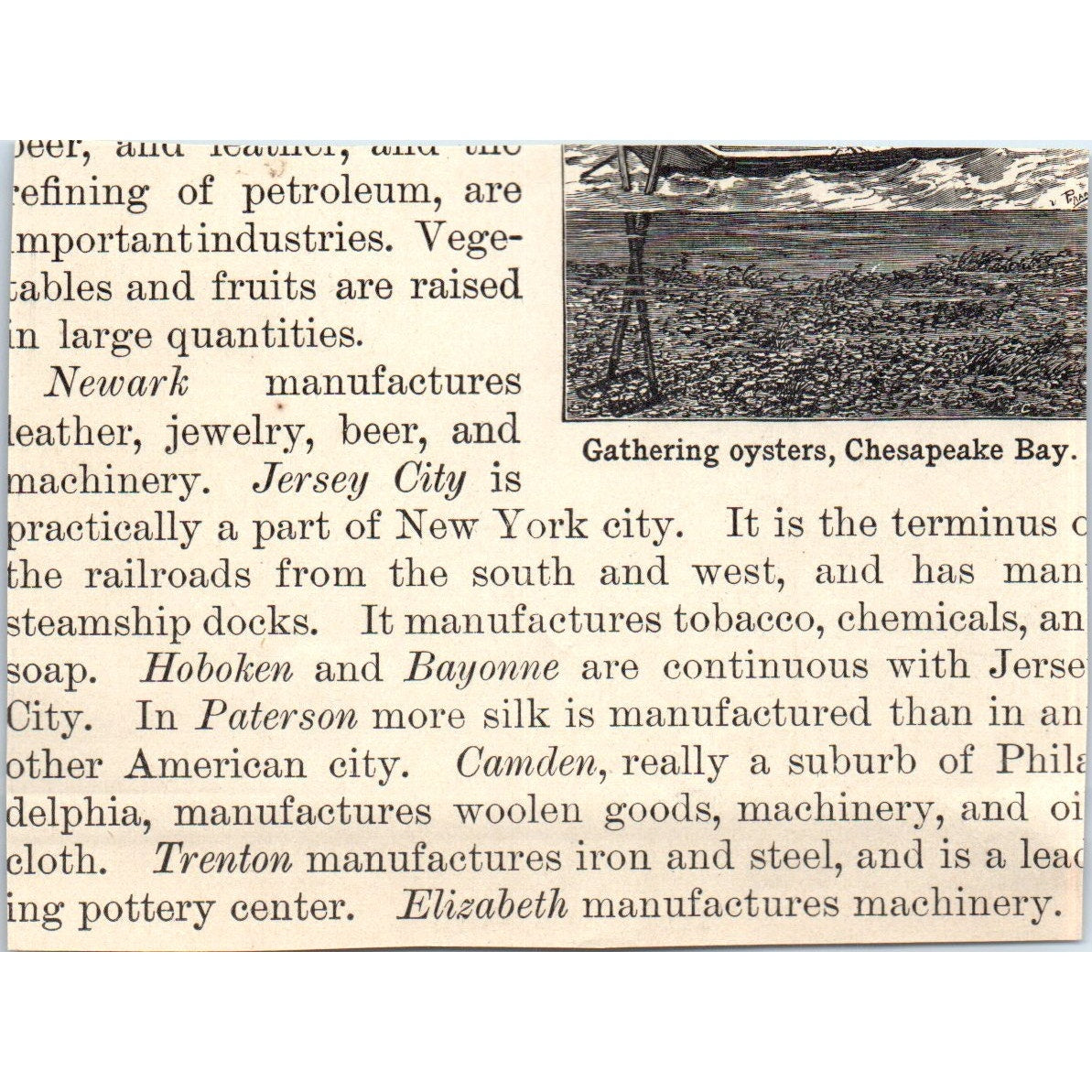 Tobacco Field in Virginia 1901 Engraving AF2-P2