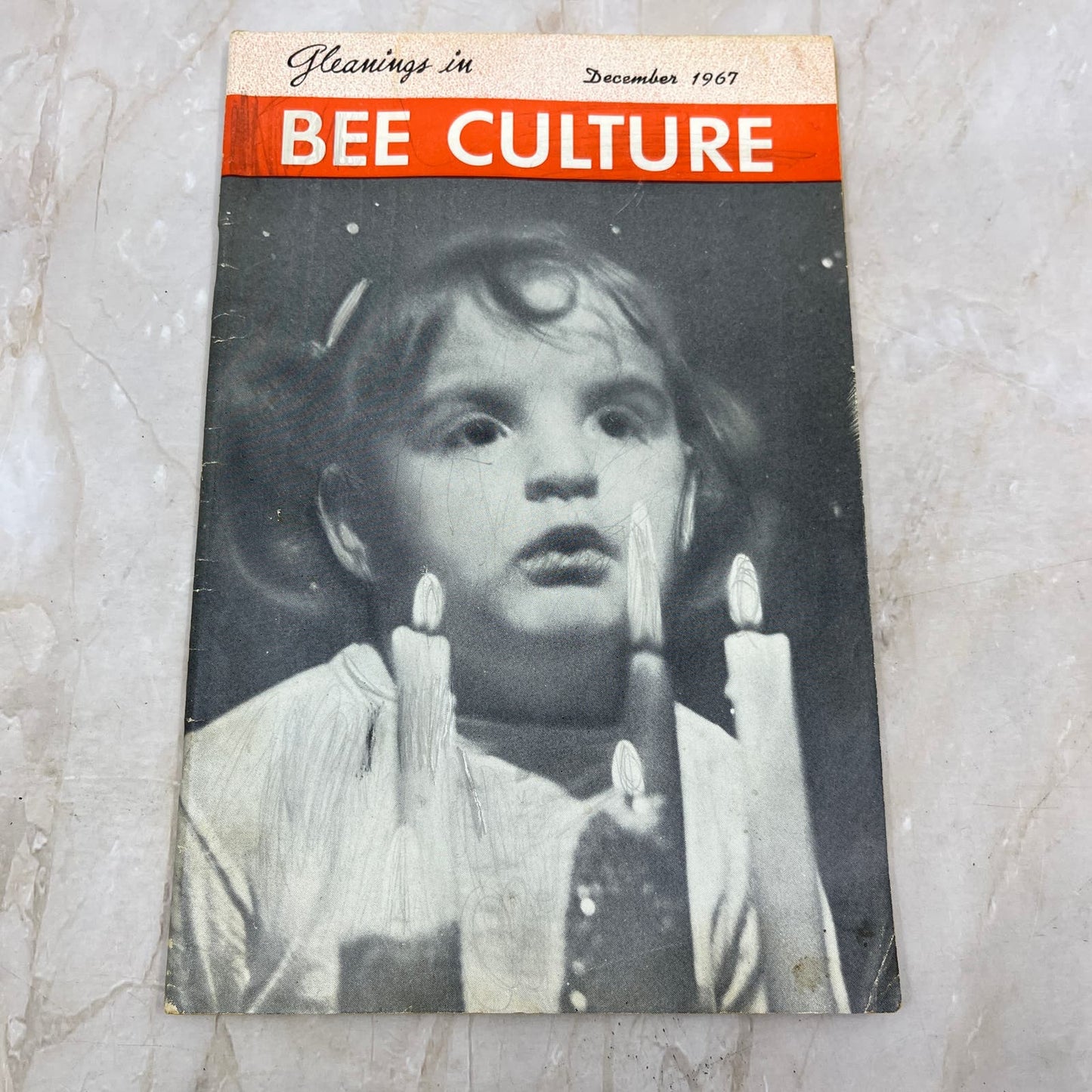 1967 Dec Gleanings in Bee Culture Magazine Bees Beekeeping Honey TD7