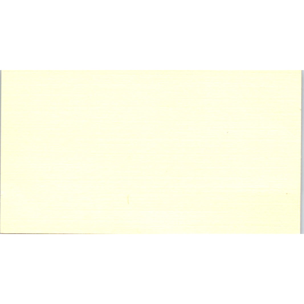 Susan Marshall Global Services Inc Canon Houston Vintage Business Card SE3-B2