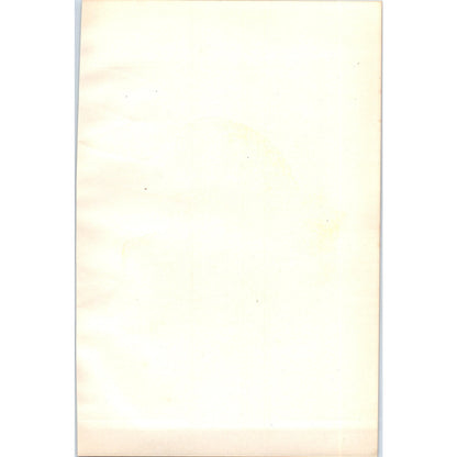 Marsh Tit Bird 1903 Original Color Engraving Plate Print AD8-B2