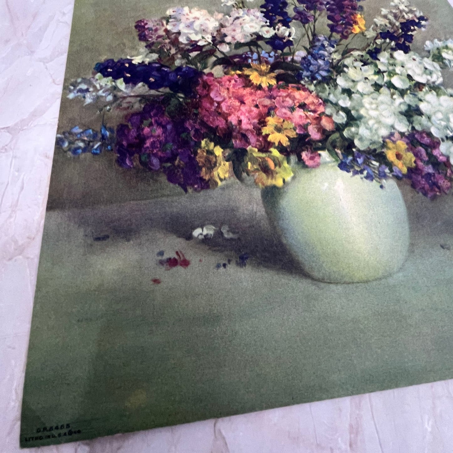 Phlox and Larkspur by Carle J Blenner Vintage Art Print Lithograph 9x12 FL6-3