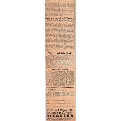 Dr. Rainey's Vitality Tablets The Rainey Drug Co Chicago 1926 Ad AG3-4
