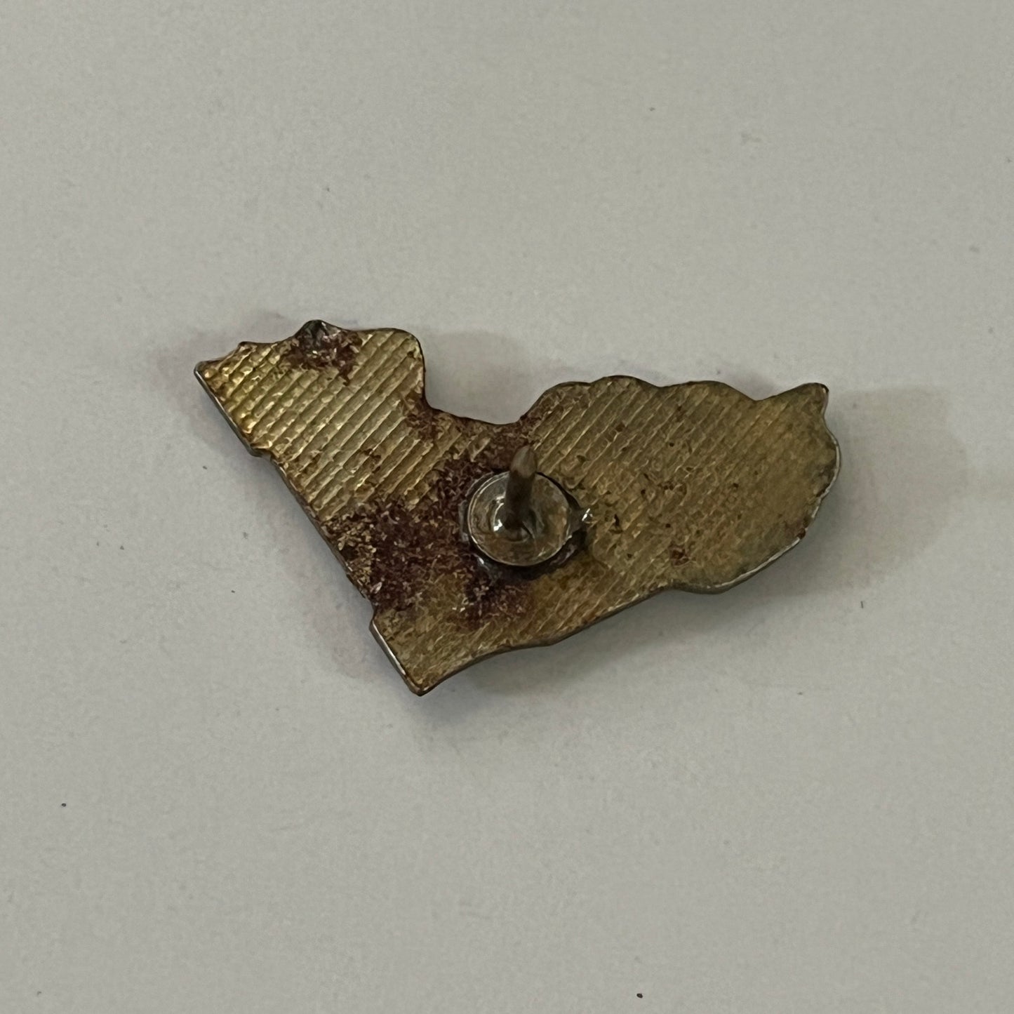 State of Florida FL Palm Beach Miami Vintage Lapel Pin Enamel Pinback Button SD6