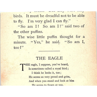 The Penguin 1902 Engraving Plate AF4-H1