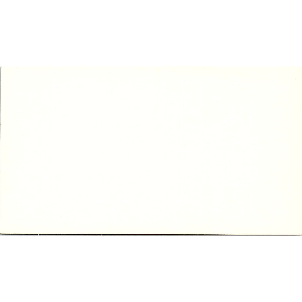 Rees T Bowen III CPA Arthur Andersen & Co Houston Vintage Business Card SD9-B1