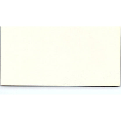 The Red Brick Store Goldie Schulman Brecksville Ohio Business Card SF3-B3