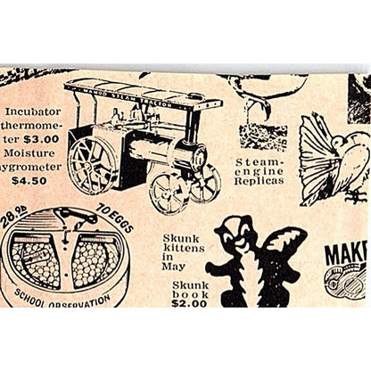 Animal World Imported Birds for Hunting Miami Lakes FL 1977 Ad AF6-M3