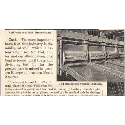 Lumbering in Washington 1901 Engraving AF2-A6