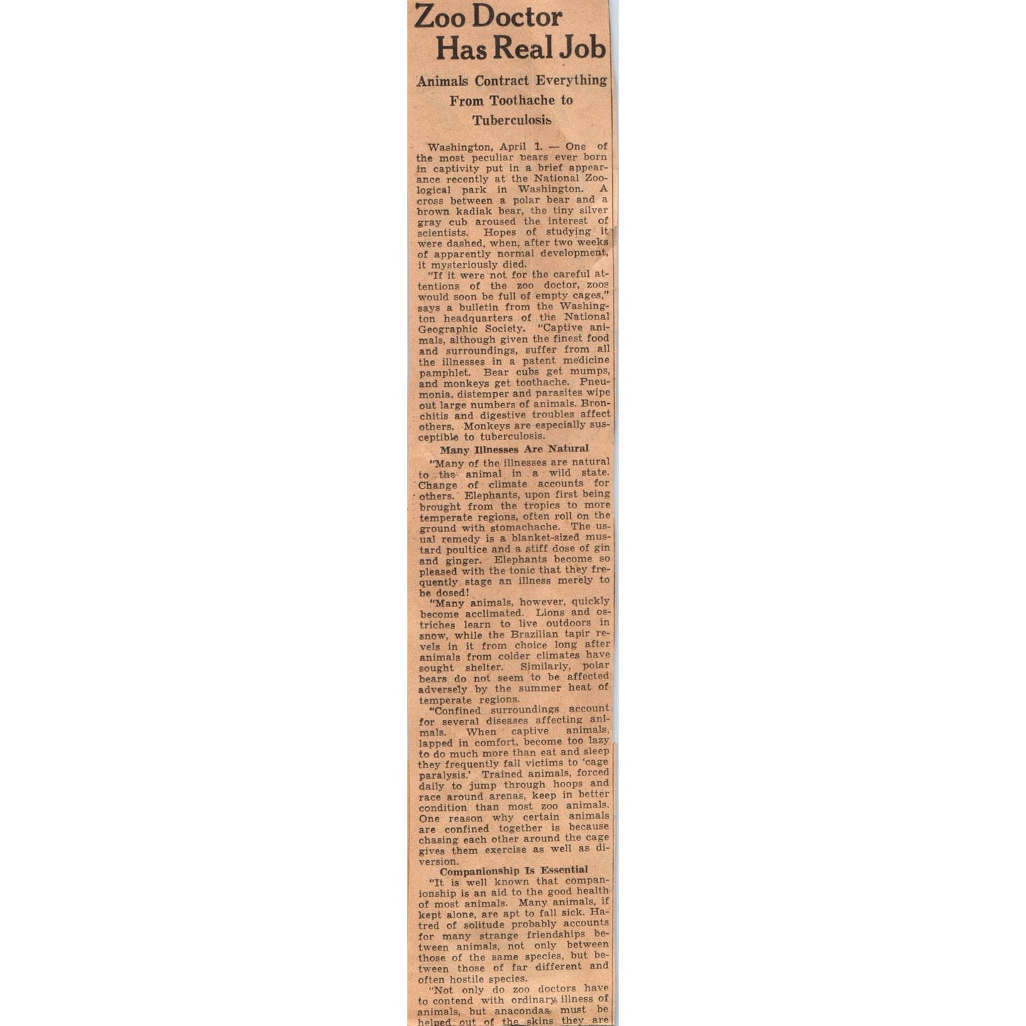 Zoo Doctors Face Challenges 1935 Minneapolis Journal Article AE7-N4