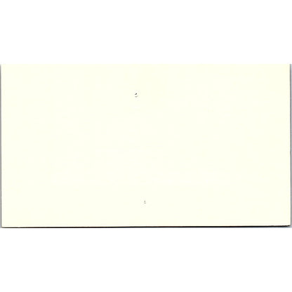 T-Lok interior Decorations Of Greater Houston Ron Sax Texas Business Card SF3-B3