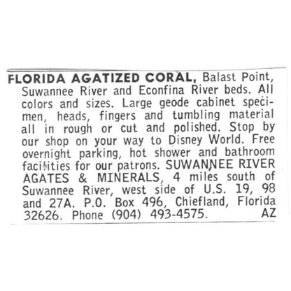 Suwannee River Agates & Minerals Agatized Coral Chiefland FL 1972 Ad AF8-S11