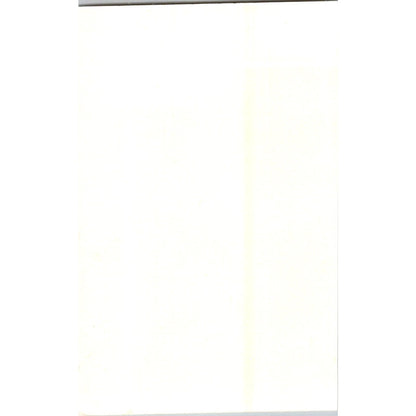 1960s Original St. Petersburg FL (Water) Decal 2.5x4" Lindgren-Turner Co AH4-M1