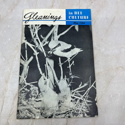 1966 May Gleanings in Bee Culture Magazine Bees Beekeeping Honey TD7