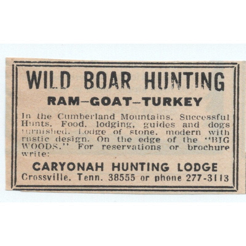 Wild Boar Hunting Cumberland Mountains Caryonah Lodge Crossville 1977 Ad AF6-M4
