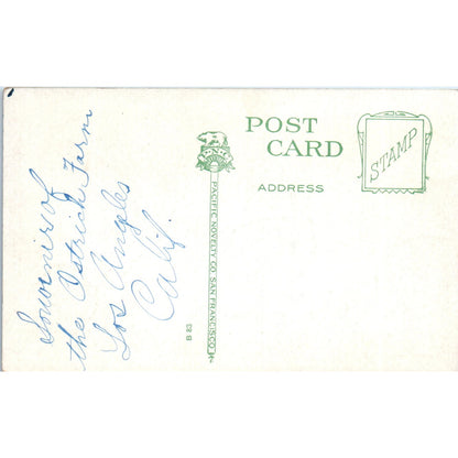 c1910 Baby Ostriches Los Angeles CA Ostrich Farm Vintage Original Postcard PD3