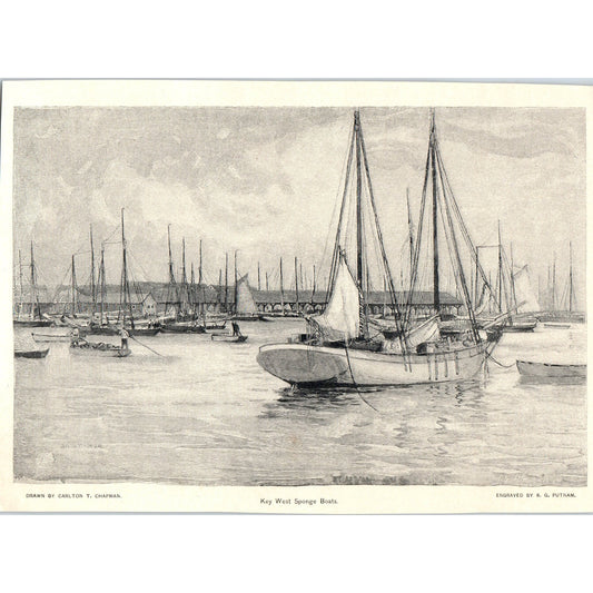 Key West Sponge Fishing Boats Carlton T. Chapman 1892 Magazine Print AB6-SL1