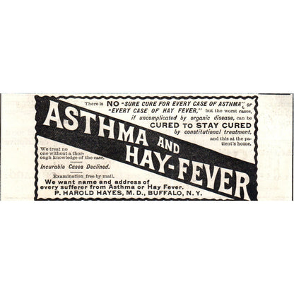 Asthma & Hay Fever Remedy P. Harold Hayes Buffalo NY c1890 Victorian Ad AE8-CH4