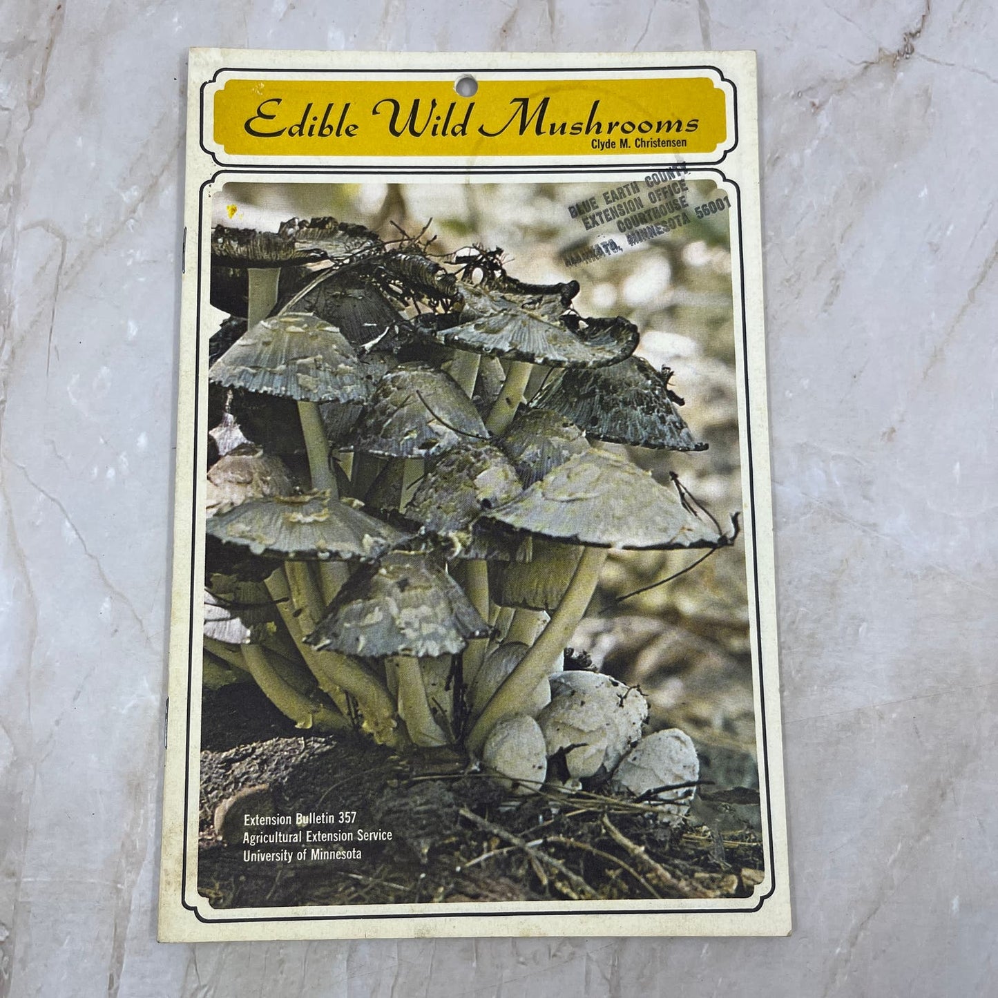 1973 Edible Wild Mushrooms Magazine University of Minnesota Bulletin TD5