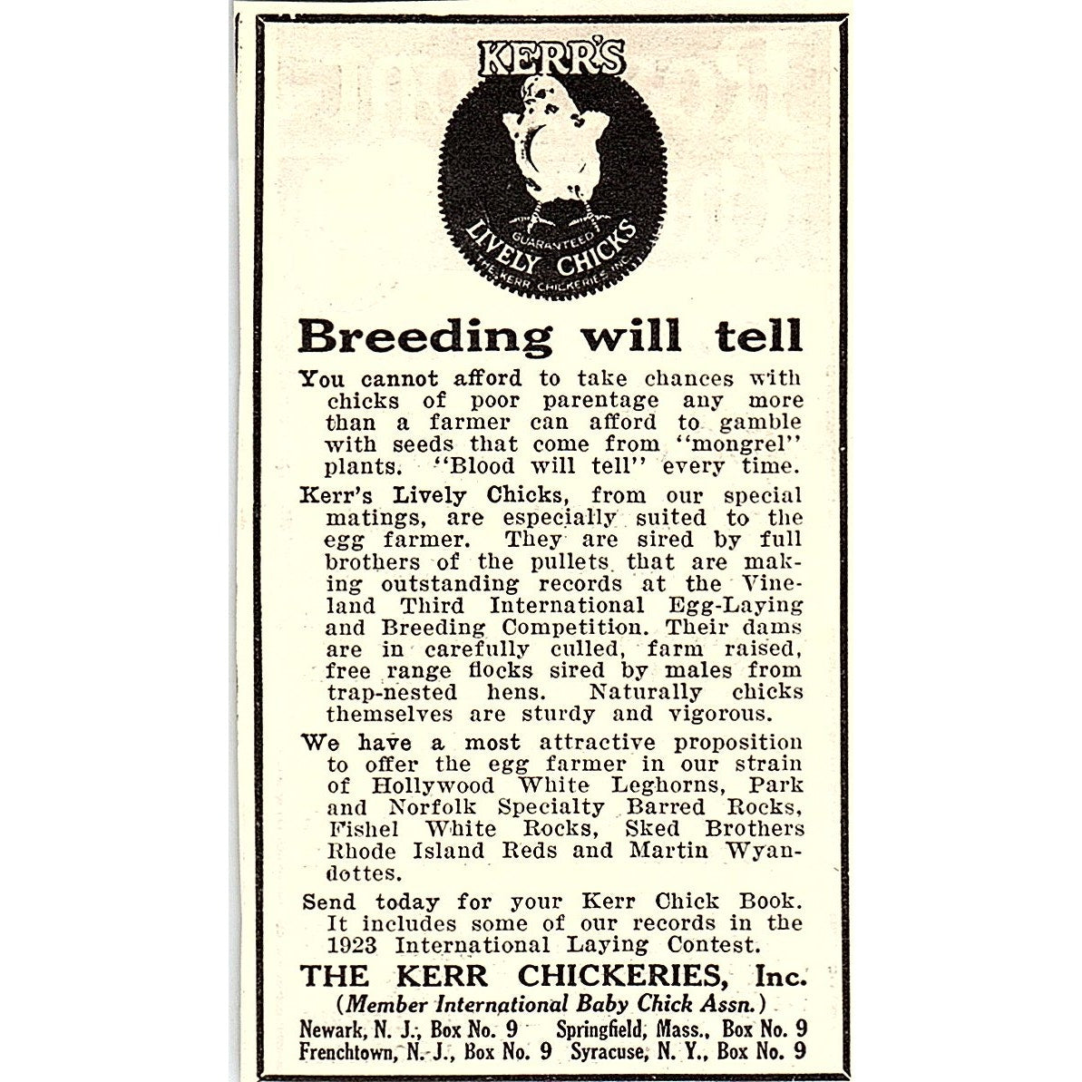The Kerr Chickeries Inc Chicks Newark Frenchtown NJ 1924 Ad AG3-M3