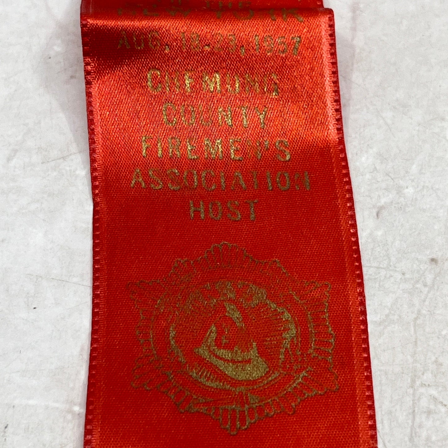 1957 New York Firemen's Association Convention Chemung County Delegate Pin SF4