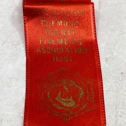1957 New York Firemen's Association Convention Chemung County Delegate Pin SF4