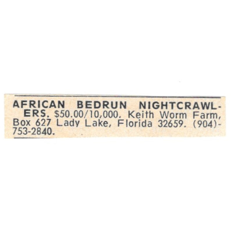 Keith Worm Farm African Bedrun Nightcrawlers Lady Lake FL 1977 Ad AF6-S6