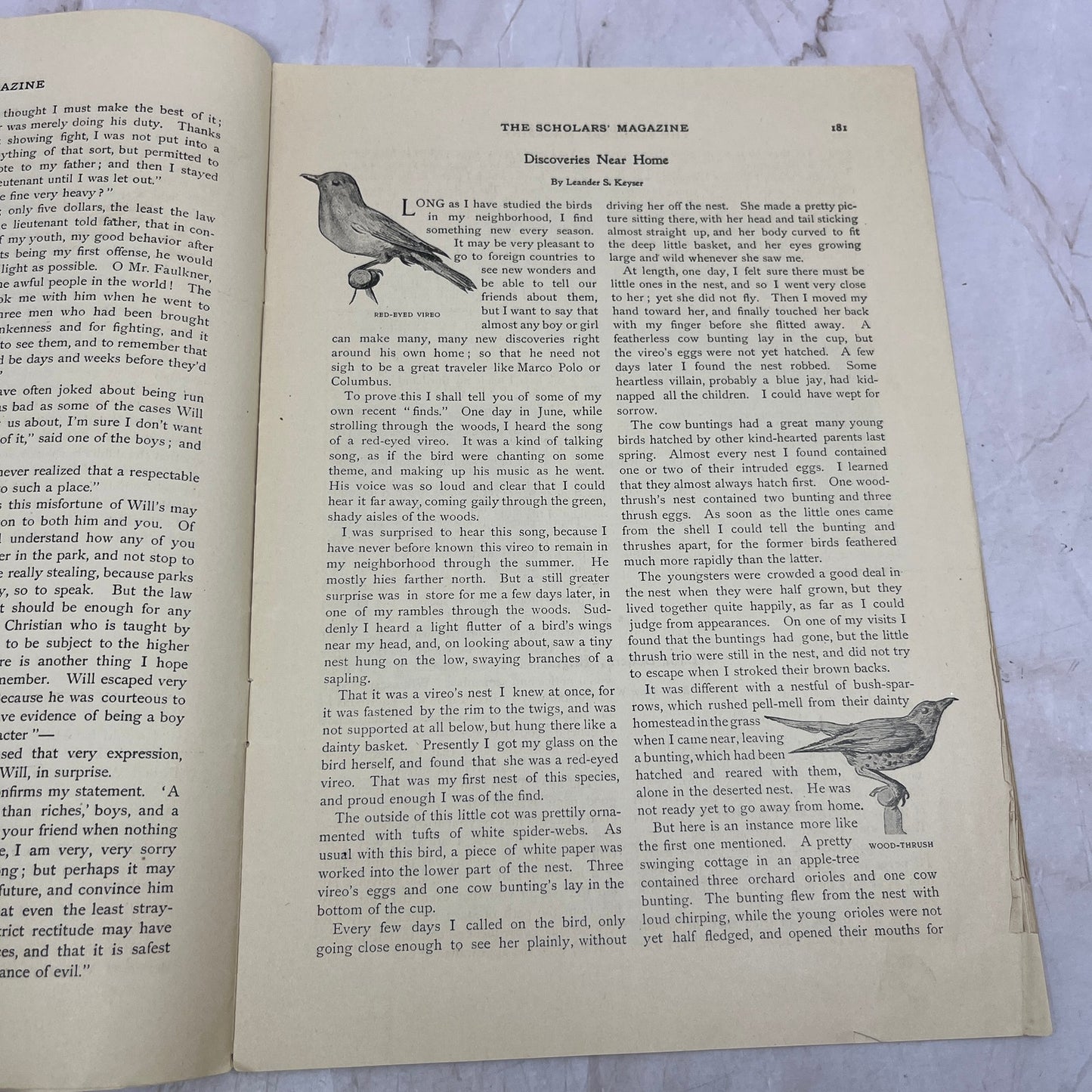 The Little Boy and the Dahlia Bush Aug 1898 The Scholars' Magazine A17