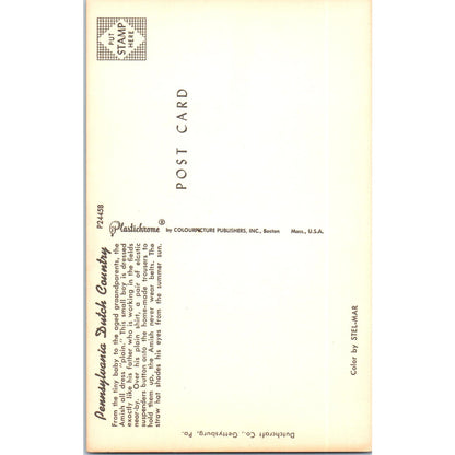 Young Amish Boy in Pennsylvania Dutch Country Vintage Postcard PD5