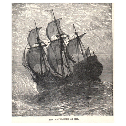 The Mayflower at Sea 1911 Engraving Print AF5-8