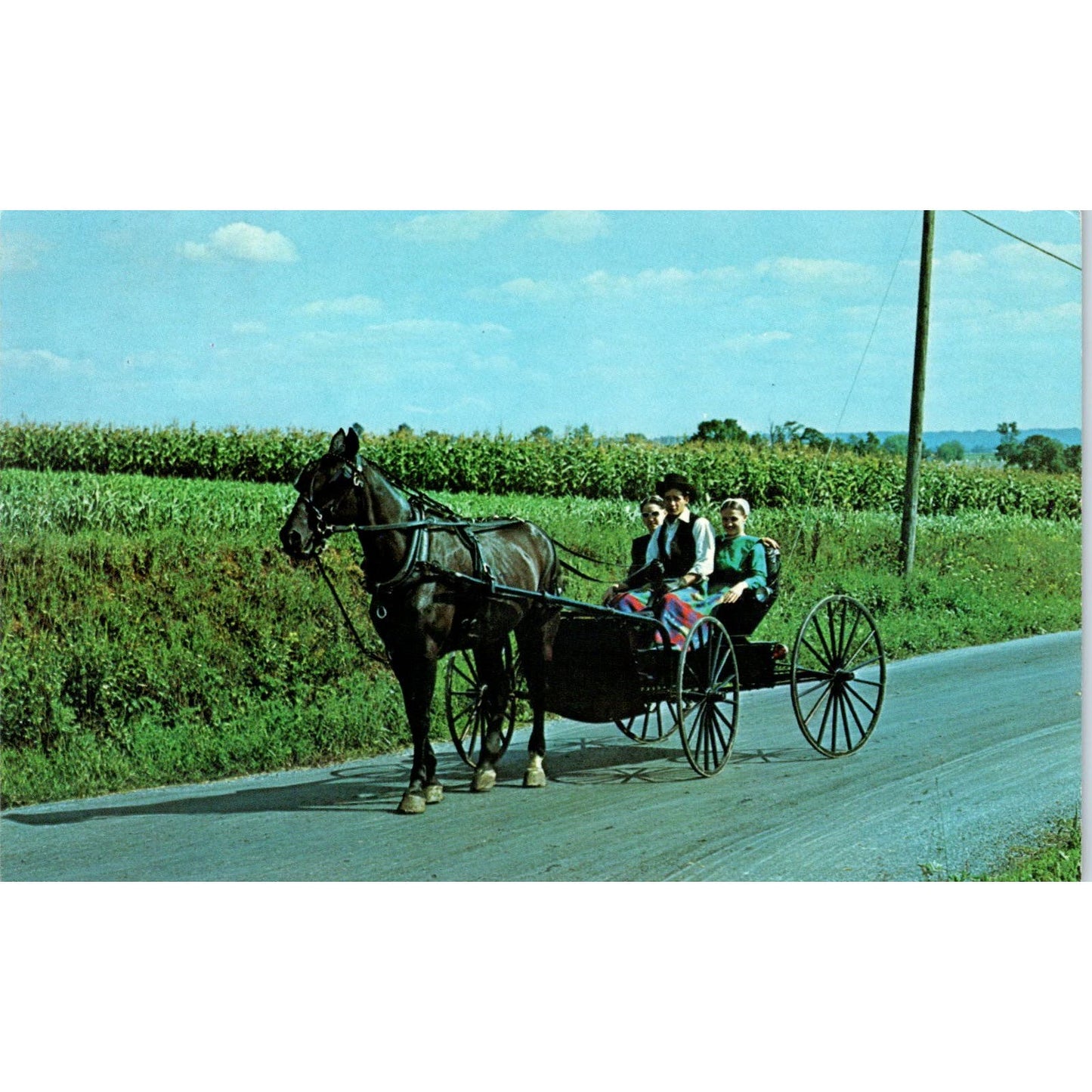 Amish People on Sunday Buggy Ride Pennsylvania Dutch Country Postcard PD7