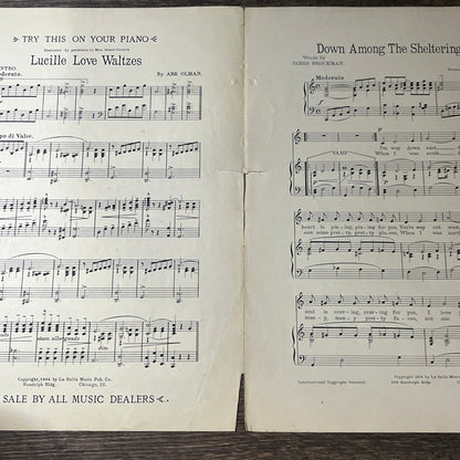 Down Among The Sheltering Palms Hames Brockman Abe Olman 1914 Sheet Music V13