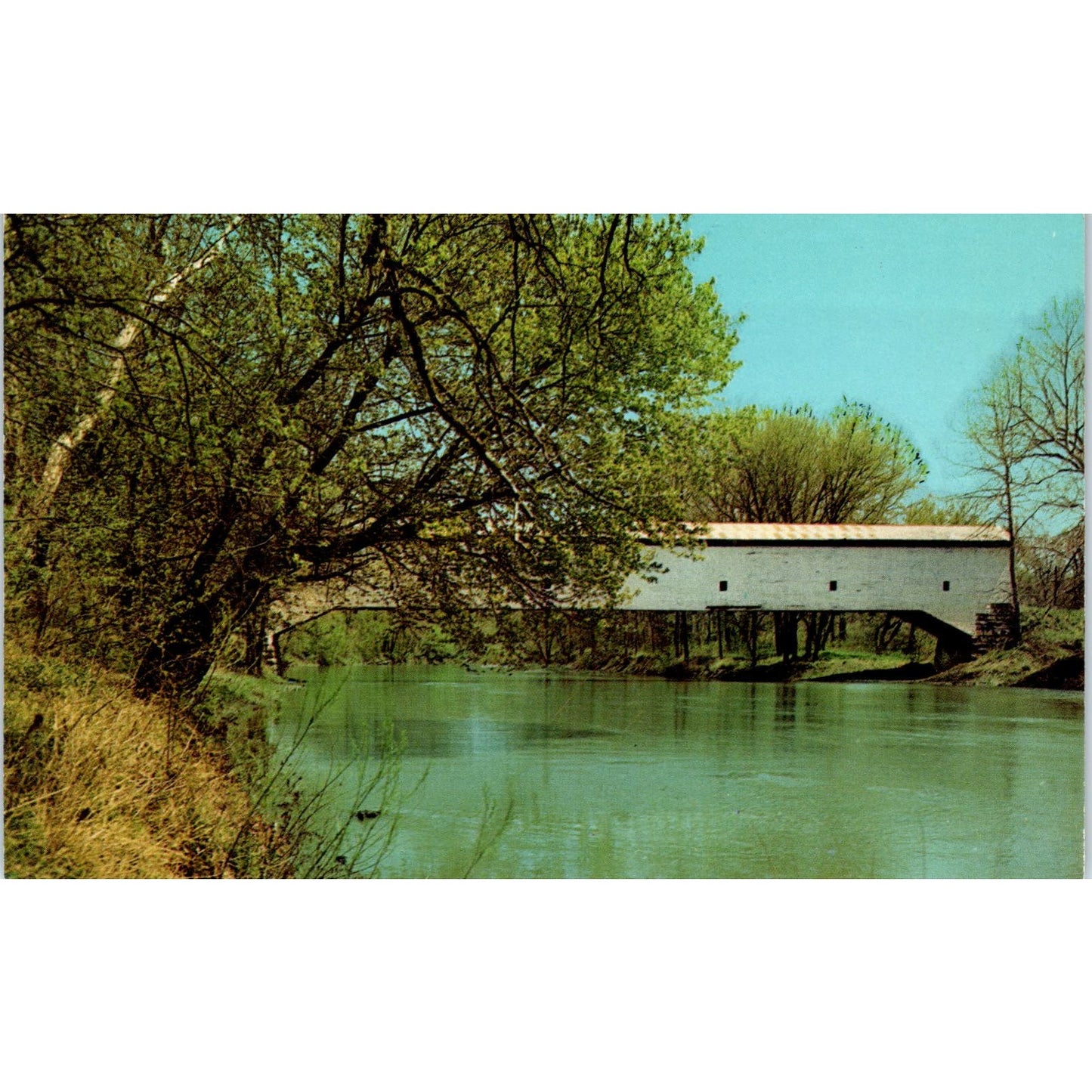 Jackson Bridge Sugar Creek Turkey Run State Park Vtg Covered Bridge Postcard PD3