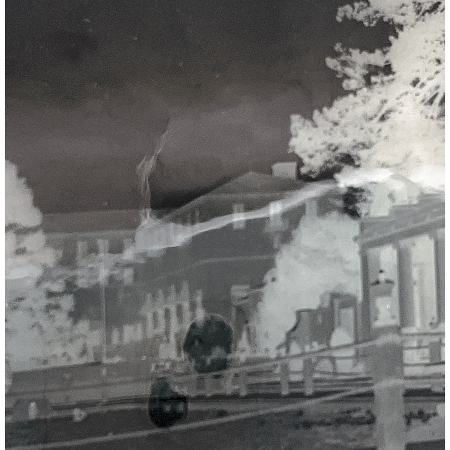 c1930 Lot of 26 Gum Del Monte California Negatives Nature Architecture TH2-MI1