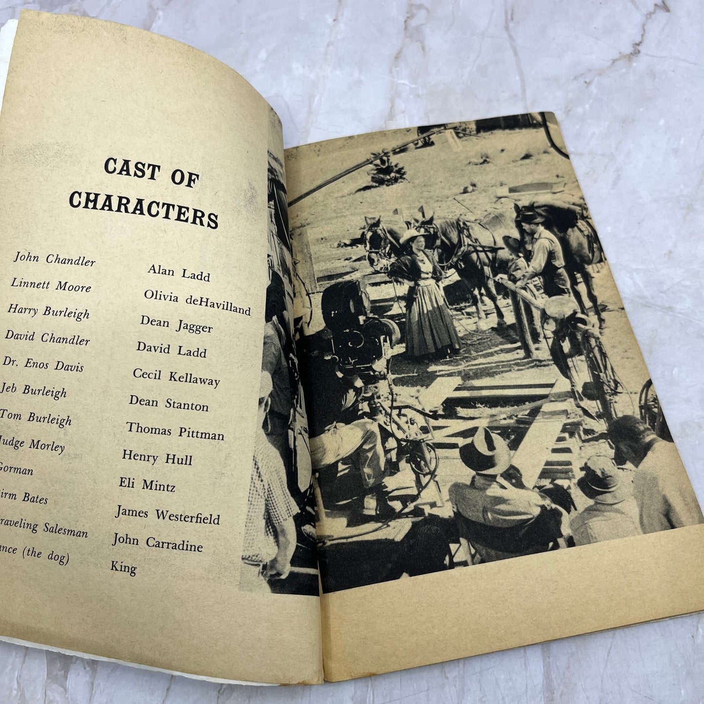 Vintage The Proud Rebel Story of the Movie Book Alan Ladd TI9-P2