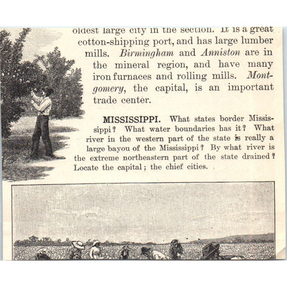 Baling Cotton in Memphis Tennessee 1901 Engraving AF2-A6