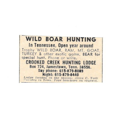 Crooked Creek Hunting Lodge Wild Boar Alvin C York Jamestown TN 1977 Ad AF6-S1