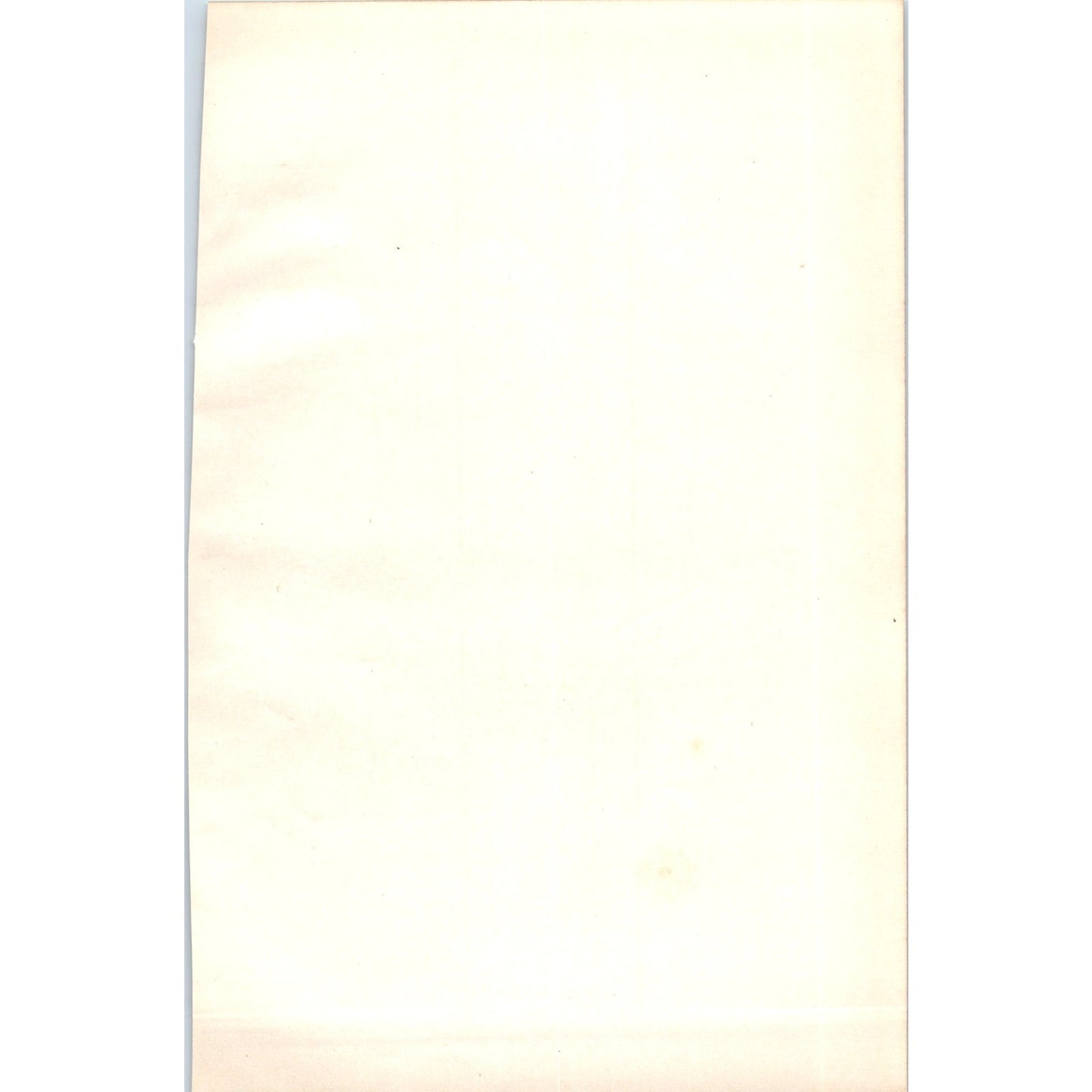 Common Sandpiper Bird 1903 Original Color Engraving Plate Print AD8-B6