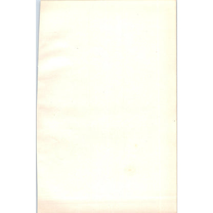 Common Sandpiper Bird 1903 Original Color Engraving Plate Print AD8-B6