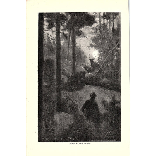 Night in the Woods - Thomas Fogarty 1903 Art Prints AG3-7