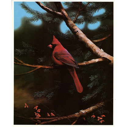 Retro Kitsch Leo Stans "Natures Red" Cardinal 8x10 Art Print AF6-18